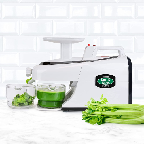 Tribest Greenstar GSE-5000 Masticating Juicer