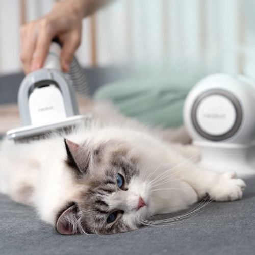 Neabot Handheld Vacuum for Pet Hair