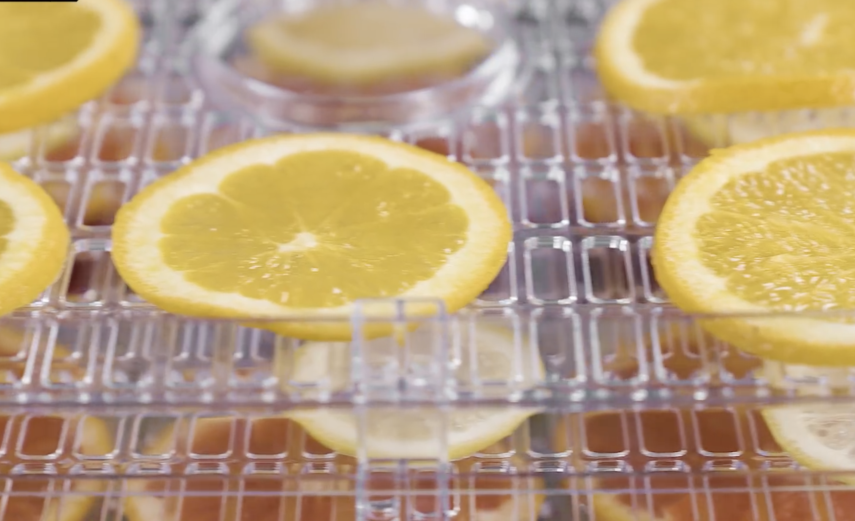 drying fruits