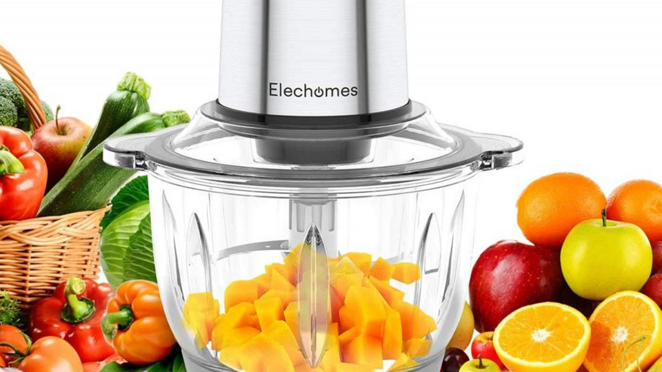 Best Food Chopper