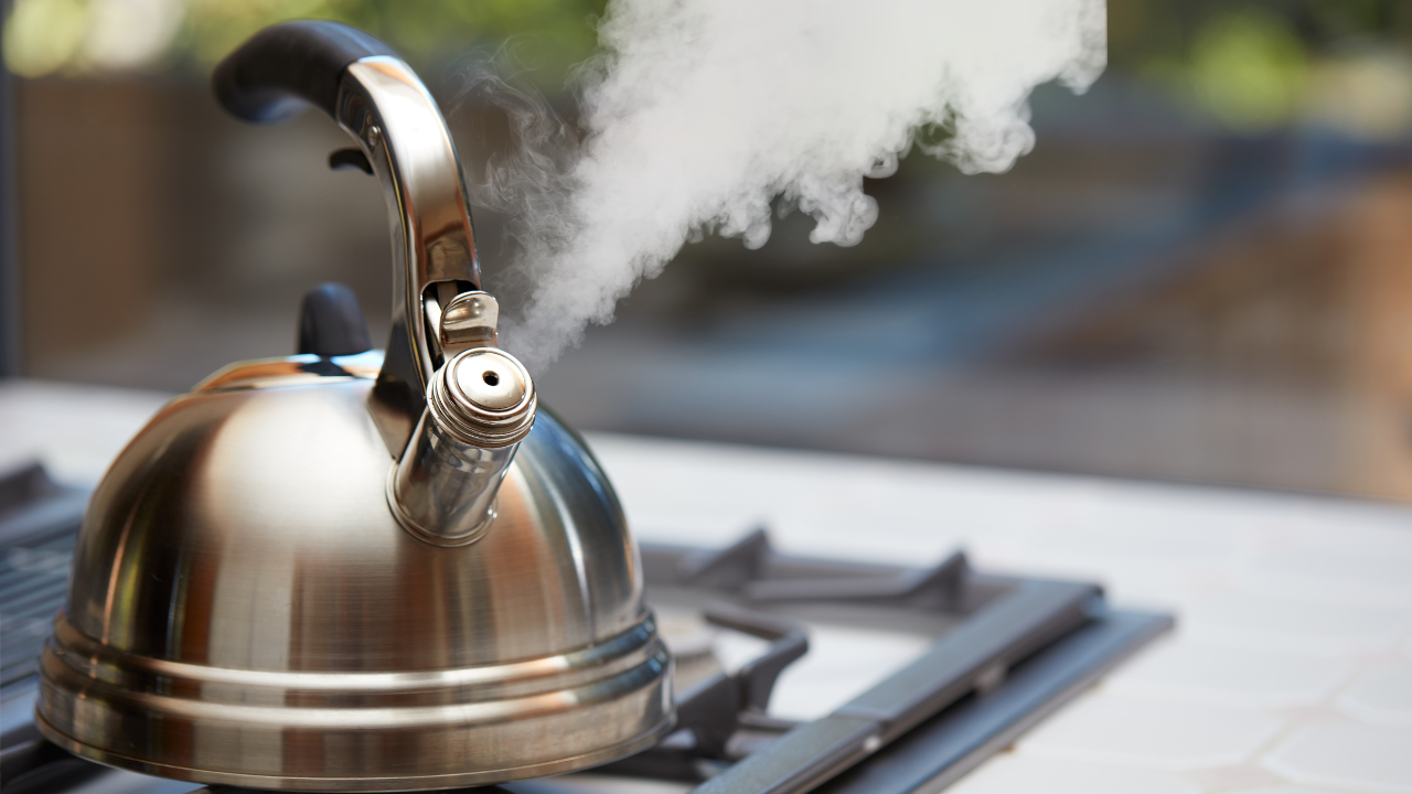 Best gas stove tea kettle