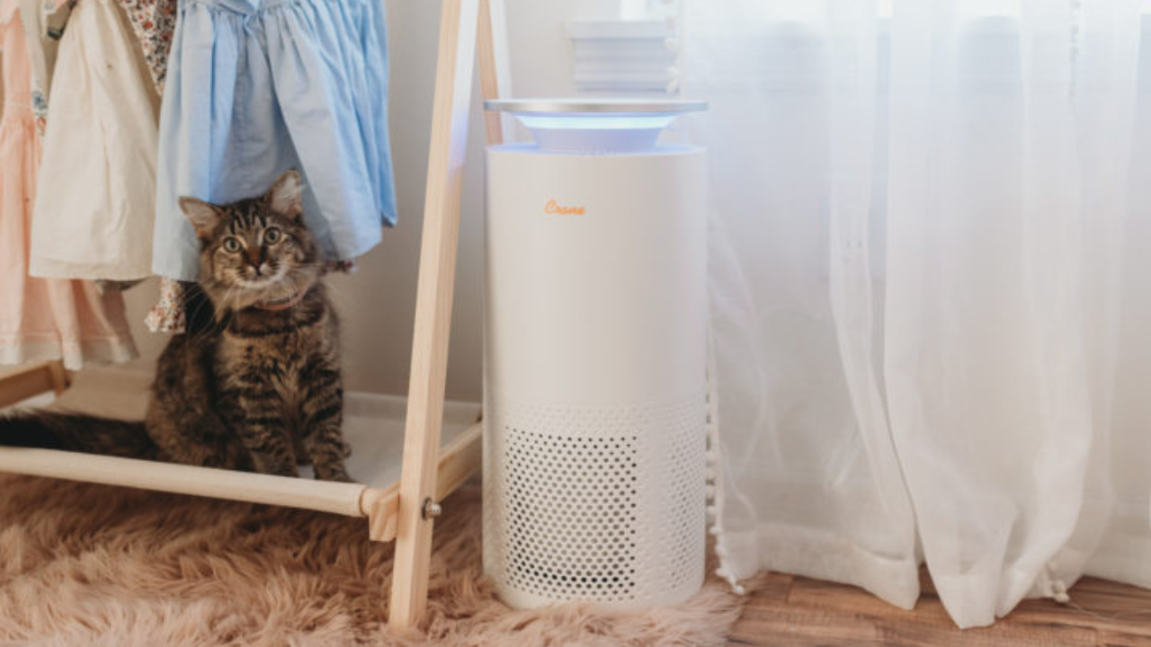 Best Air Purifier for Baby