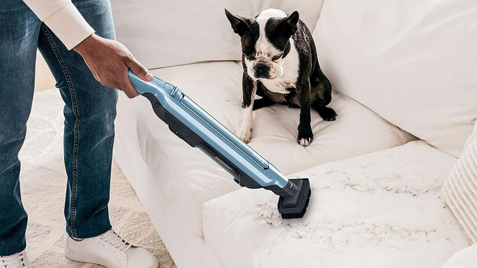 Best Handheld Vacuums for Pet Hair